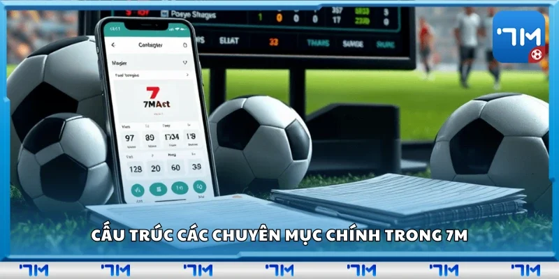 Cấu trúc các chuyên mục chính trong 7m