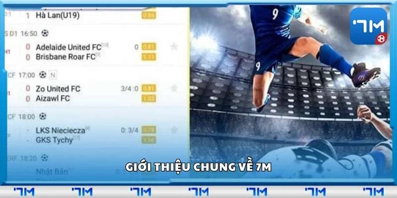 Giới thiệu chung về 7m