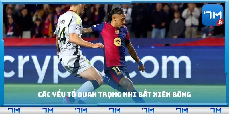 Các yếu tố quan trọng khi bắt xiên bóng