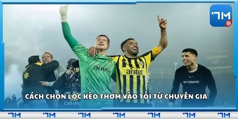 Cách chọn lọc kèo thơm vào tối từ chuyên gia