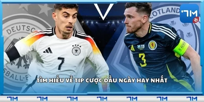 Tìm hiểu về tip cược đầu ngày hay nhất