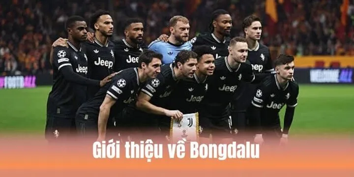 Tất tần tật thông tin tổng quan cần biết về Bongdalu