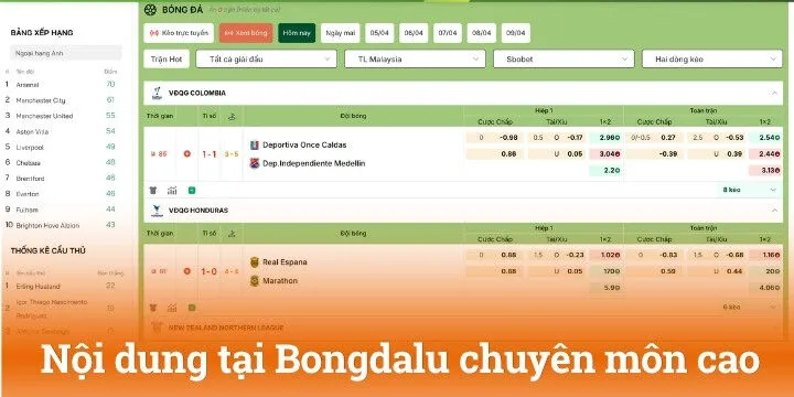 Tỷ lệ kèo bóng đá được hiển thị đầy đủ trên Bongdalu