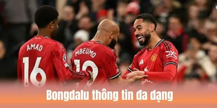 Đội ngũ hỗ trợ khách hàng Bongdalu luôn có mặt 24/7