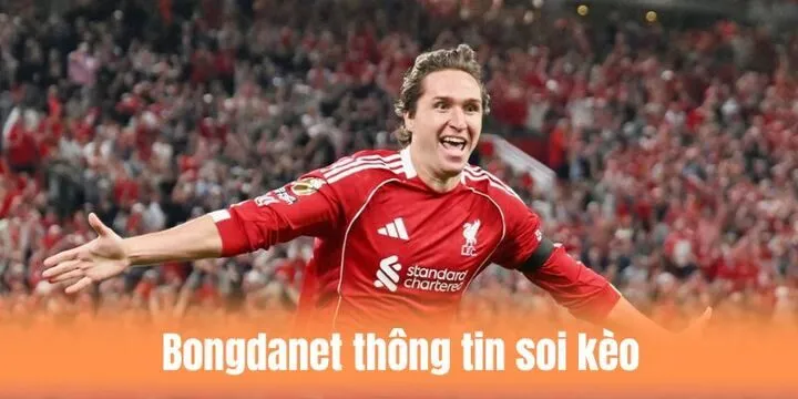 Thông tin soi kèo trên website Bongdanet đầy đủ và chi tiết
