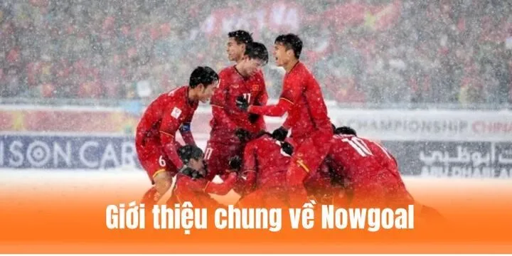 Tổng quát về trang tin tức Nowgoal dành cho người mới